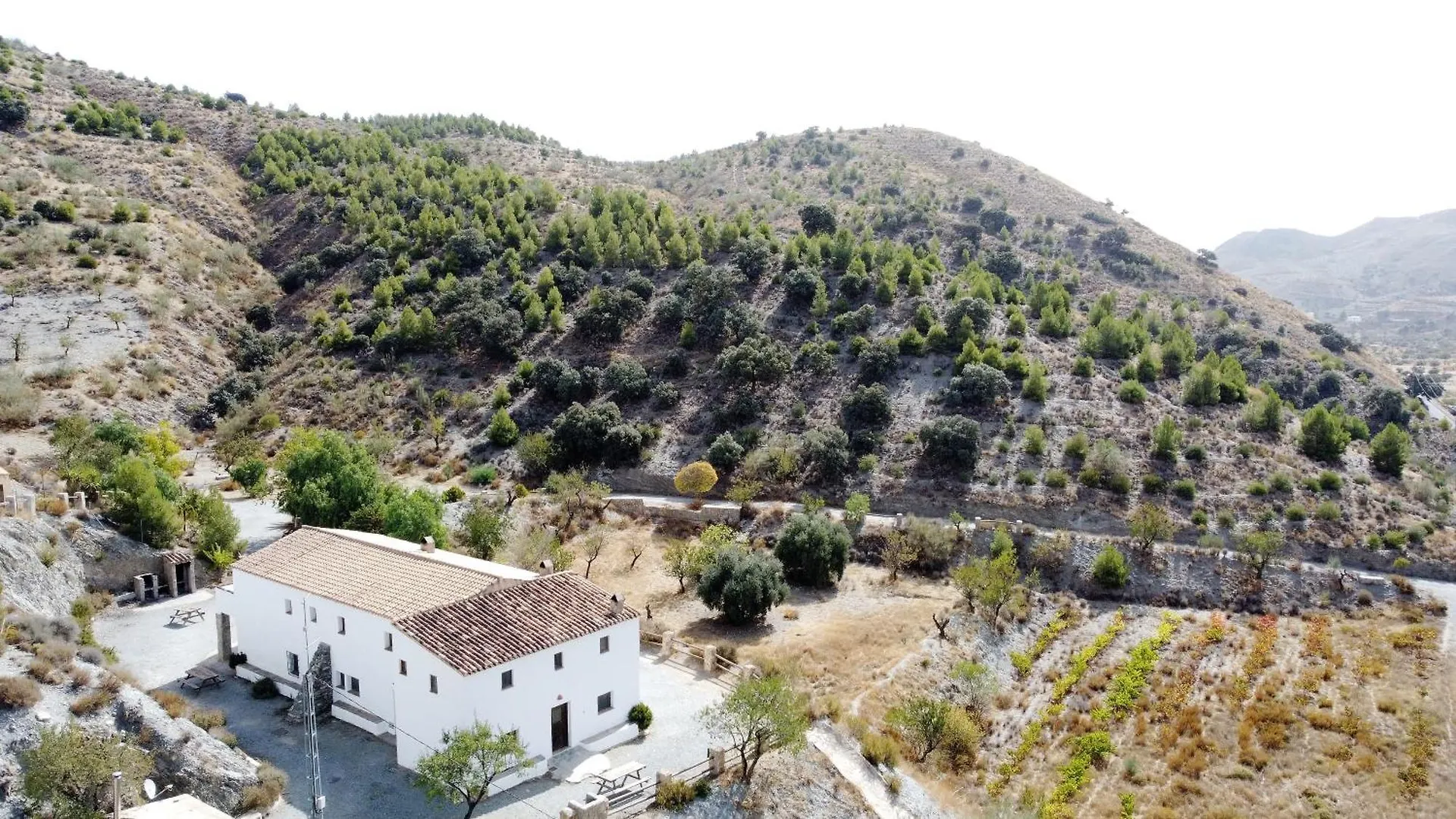 Casas Rurales Cortijo Leontino Taberno Lantställe